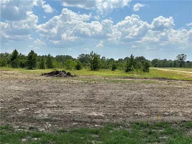 Lot 34 The Banks Drive, Hwy 16 Highway, Franklinton, LA 70438 - #3