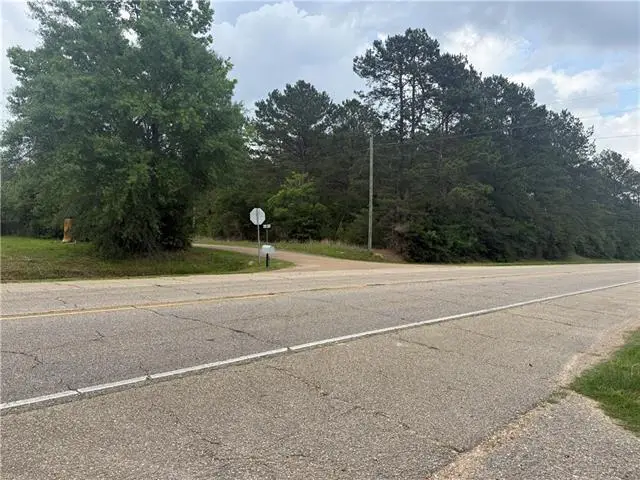 TBD Halbert Road, Amite, LA 70422 - #2