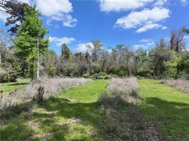 26870 Greenwell Springs Road, Greenwell Springs, LA 70739 - #2