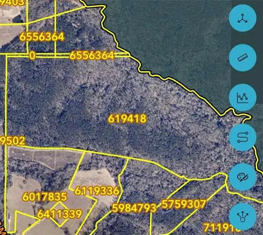 220 Acres Z Mcdaniel Road, Kentwood, LA 70444 - #2