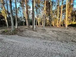 Lot 4 & 5 W 18th Avenue, Covington, LA 70433 - #3