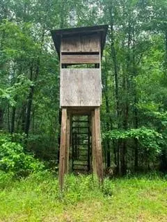 Lowencamp Lane, Hazlehurst, MS 39083 - #1