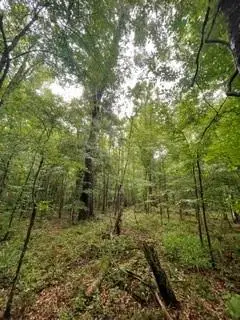 Lowencamp Lane, Hazlehurst, MS 39083 - #2