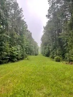 Lowencamp Lane, Hazlehurst, MS 39083 - #3