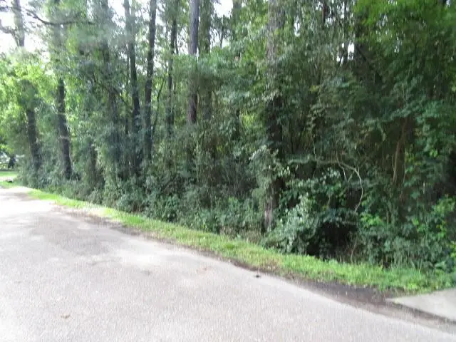 0 Davis Street, Madisonville, LA 70447 - #2