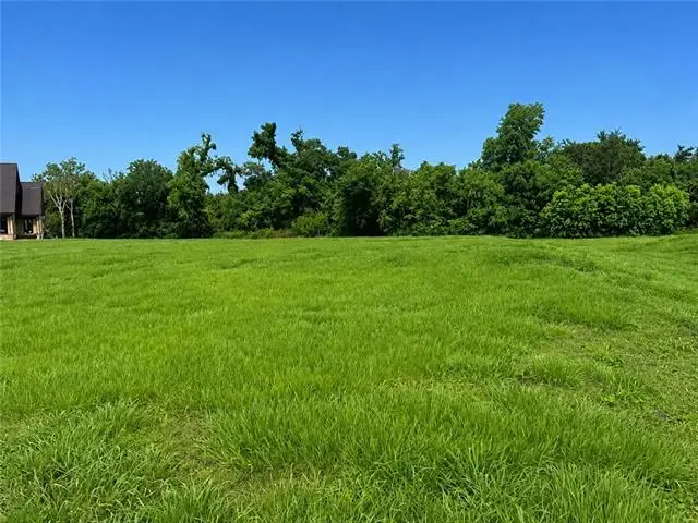 338 Leona Drive, Raceland, LA 70394 - #1