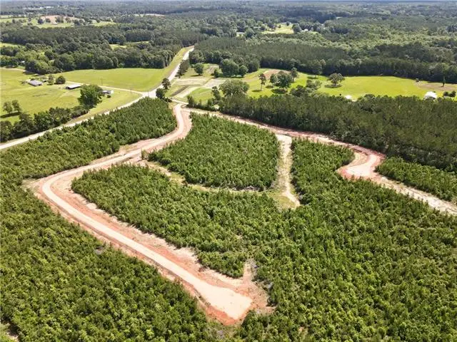 Parcel 3 436 Highway, Franklinton, LA 70438 - #2