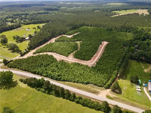 Parcel 3 436 Highway, Franklinton, LA 70438 - #3