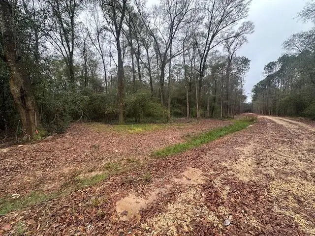 Lot A Hunter Oaks Lane, Covington, LA 70435 - #2