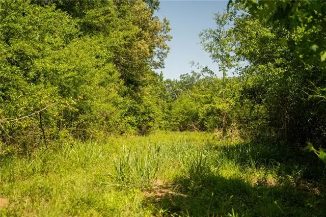 1311 N Jackson Street, Brookhaven, MS 39601 - #3