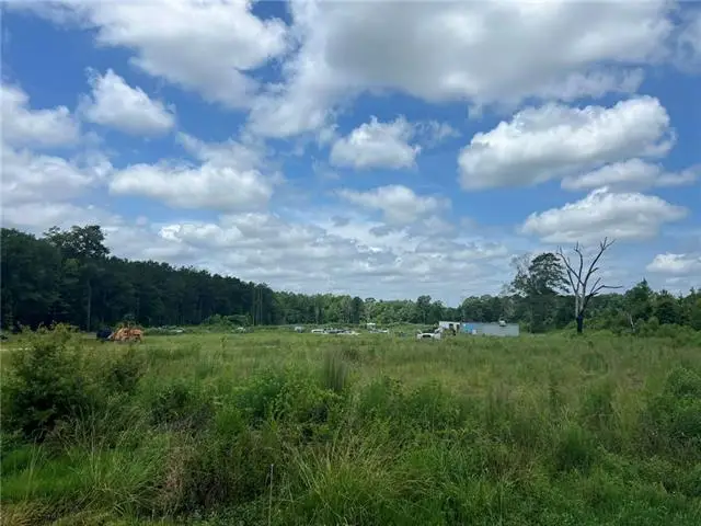 Hwy 51 Highway, Tangipahoa, LA 70465 - #1