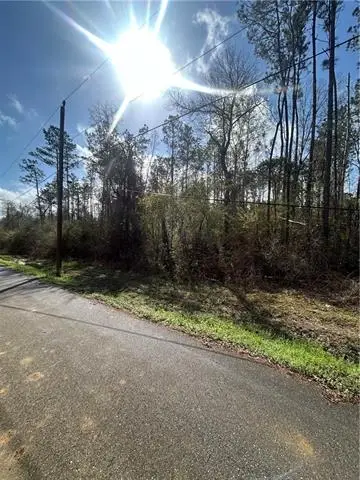 TBD Chapmen Rd Road, Loranger, LA 70446 - #1