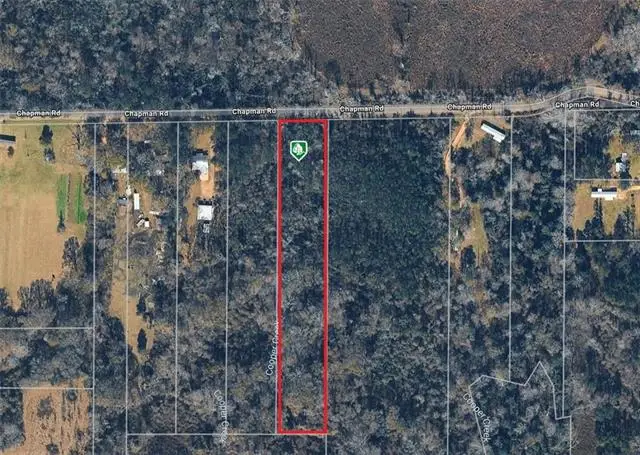TBD Chapmen Rd Road, Loranger, LA 70446 - #2