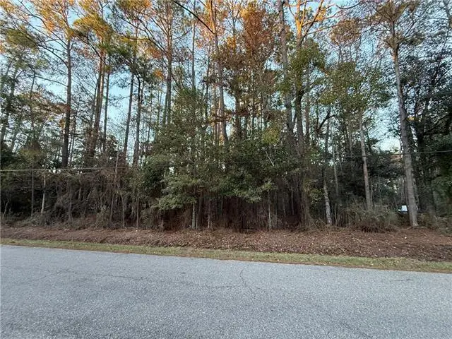 TBD Delery Street, Mandeville, LA 70471 - #1