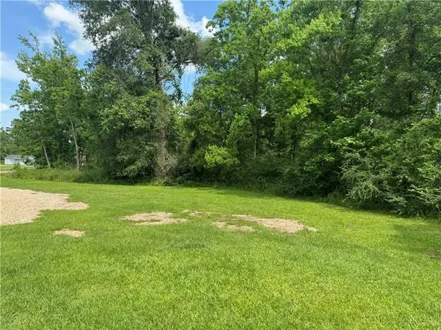 Commercial Street, Roseland, LA 70456 - #3