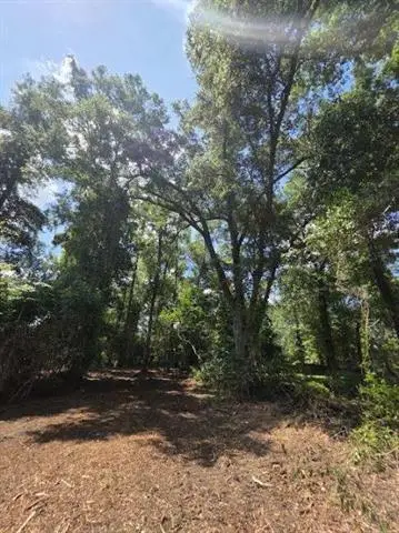 28-B Oak Hollow Drive, Hammond, LA 70401 - #2