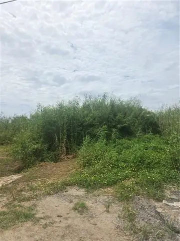 Lots 1-4 Quince Lane, Grand Isle, LA 70358