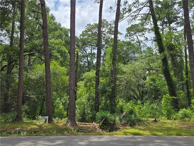 73087 Allen Road, Abita Springs, LA 70420 - #1