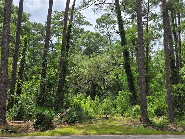 73087 Allen Road, Abita Springs, LA 70420 - #3