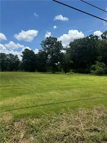 49090 Stafford Road, Tickfaw, LA 70466 - #2