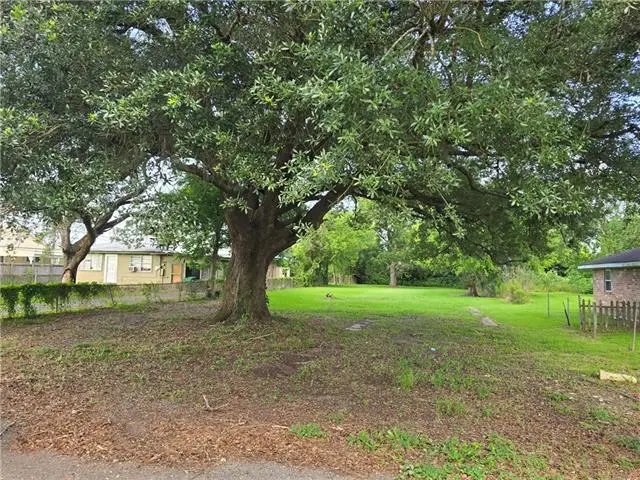 430 Camphor Street, Laplace, LA 70068 - #2