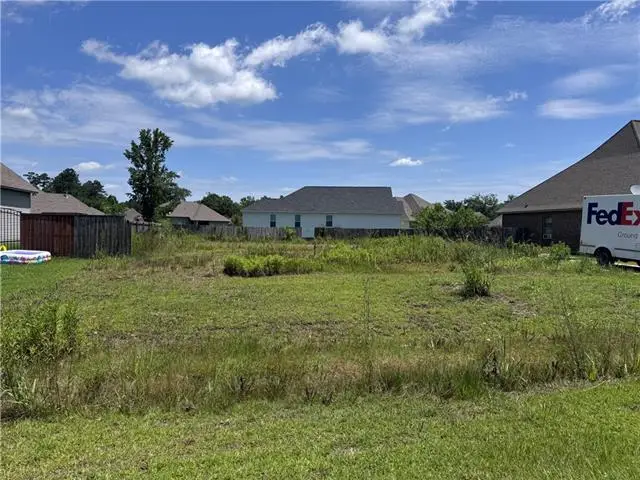 21297 Lake Maurepas Court, Ponchatoula, LA 70454 - #1
