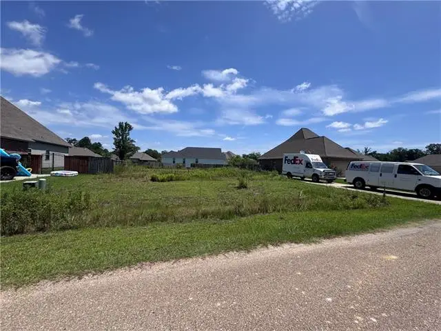 21297 Lake Maurepas Court, Ponchatoula, LA 70454 - #2