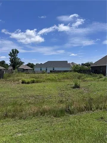 21297 Lake Maurepas Court, Ponchatoula, LA 70454 - #3