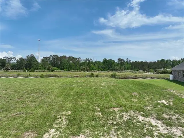 21424 Yellow Fin Drive, Springfield, LA 70462 - #3