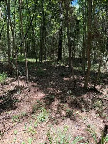Reames Rd Road, Zachary, LA 70791 - #3