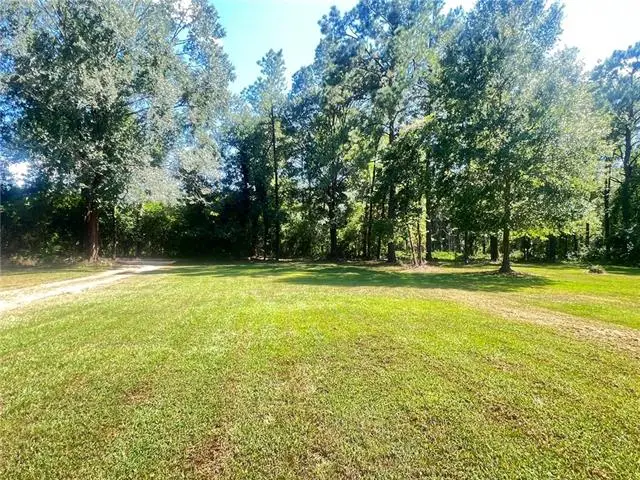 53184 Cason Road, Independence, LA 70443 - #2