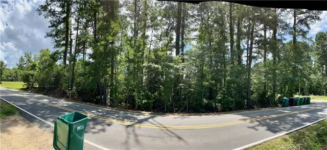 32061 Pea Ridge Road, Albany, LA 70711 - #1