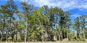 Highway 1088 Highway, Mandeville, LA 70448