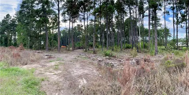 28019 Etta Blount Road, Albany, LA 70711 - #1