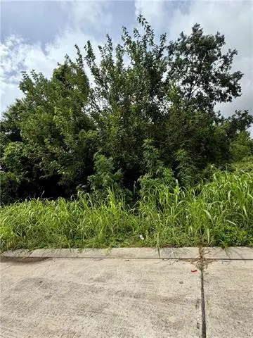 6118 Shirley Taylor Street, New Orleans, LA 70117 - #1