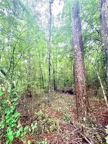 4.464 Acres Pleasant Hill Road, Mount Hermon, LA 70450 - #3