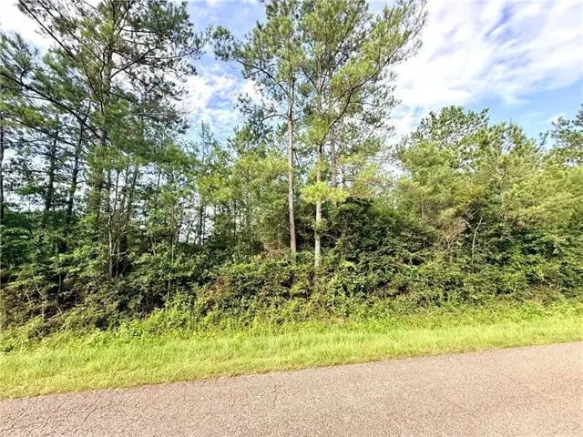 Lot2-B 3.08ac Lee Road, Franklinton, LA 70438 - #3