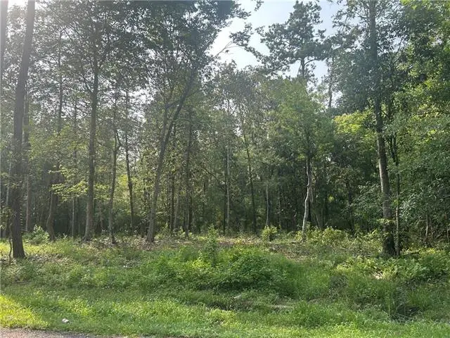 LOTS 158 & 159 Bogue Falaya Drive, Covington, LA 70433 - #2