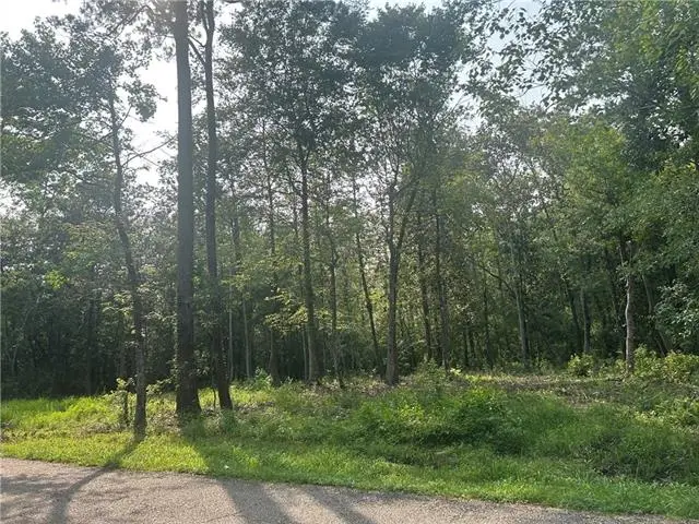 LOTS 158 & 159 Bogue Falaya Drive, Covington, LA 70433 - #3