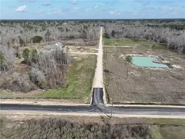 Rue Orleans Road, Holden, LA 70744 - #2