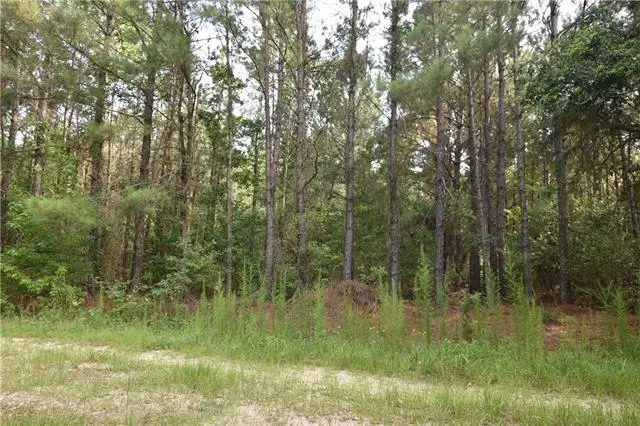 00 Lovern Road, Pearl River, LA 70452 - #1