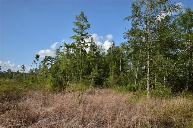 00 Lovern Road, Pearl River, LA 70452 - #2