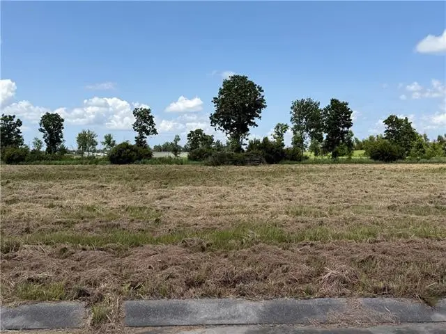 160 Audubon Place, Belle Chasse, LA 70037 - #1