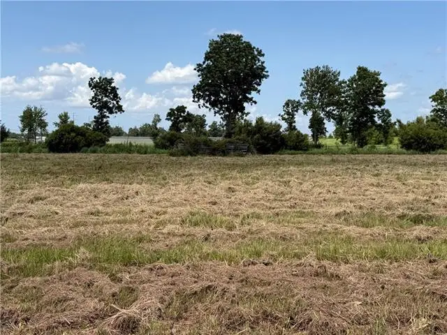 160 Audubon Place, Belle Chasse, LA 70037 - #2