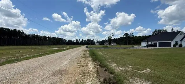 Lot A-3 Billy Joe Road, Independence, LA 70443 - #2
