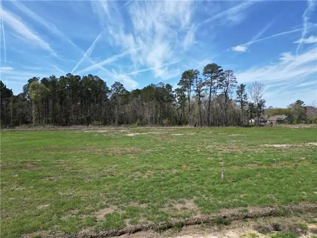 Lot A-3 Billy Joe Road, Independence, LA 70443 - #3