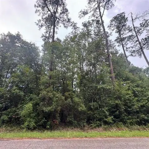 0 W Ruth Road, Lacombe, LA 70445 - #3