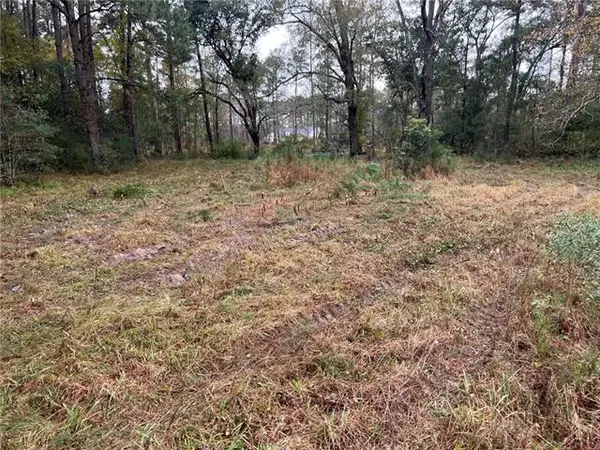 Gitz Lane, Madisonville, LA 70447