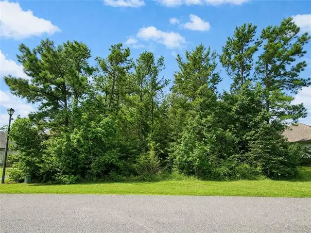 313 Belle Pointe Court, Madisonville, LA 70447 - #1