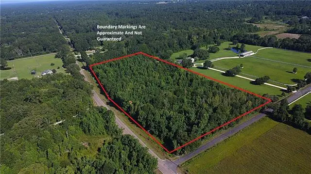 7.8 Acres Hwy 1078 Highway, Folsom, LA 70437 - #3